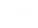 Visa partner logo